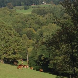 Du Puy Valeix au Puy Maury